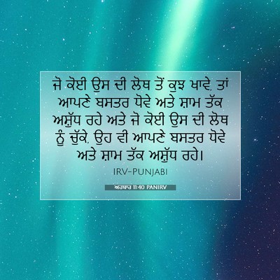 Picture 07 - ਅਹਬਾਰ 11:40 PANIRV - ਜੋ ਕੋਈ ਉਸ ਦੀ ਲੋਥ - Bible Verse Picture