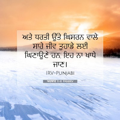 Picture 07 - ਅਹਬਾਰ 11:41 PANIRV - ਅਤੇ ਧਰਤੀ ਉੱਤੇ - Bible Verse Picture