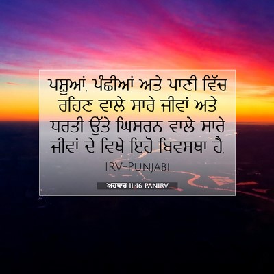 Picture 07 - ਅਹਬਾਰ 11:46 PANIRV - ਪਸ਼ੂਆਂ, ਪੰਛੀਆਂ ਅਤੇ - Bible Verse Picture