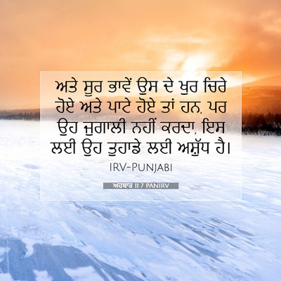 Picture 07 - ਅਹਬਾਰ 11:7 PANIRV - ਅਤੇ ਸੂਰ ਭਾਵੇਂ ਉਸ ਦੇ - Bible Verse Picture