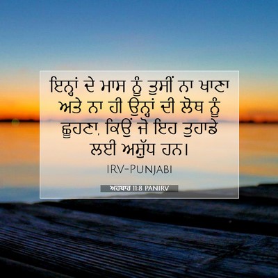 Picture 07 - ਅਹਬਾਰ 11:8 PANIRV - ਇਨ੍ਹਾਂ ਦੇ ਮਾਸ ਨੂੰ - Bible Verse Picture