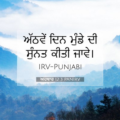 Picture 07 - ਅਹਬਾਰ 12:3 PANIRV - ਅੱਠਵੇਂ ਦਿਨ ਮੁੰਡੇ - Bible Verse Picture