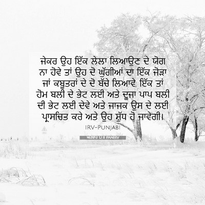Picture 07 - ਅਹਬਾਰ 12:8 PANIRV - ਜੇਕਰ ਉਹ ਇੱਕ ਲੇਲਾ - Bible Verse Picture