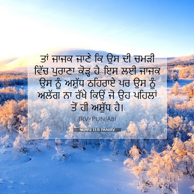 Picture 07 - ਅਹਬਾਰ 13:11 PANIRV - ਤਾਂ ਜਾਜਕ ਜਾਣੇ ਕਿ ਉਸ - Bible Verse Picture