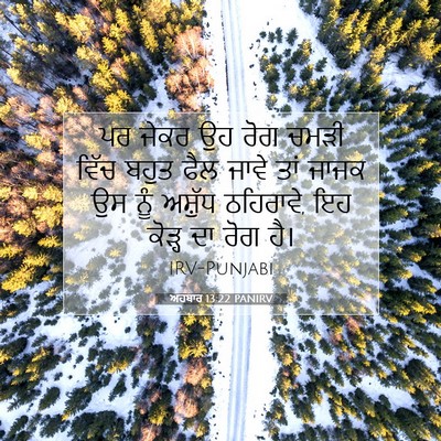 Picture 07 - ਅਹਬਾਰ 13:22 PANIRV - ਪਰ ਜੇਕਰ ਉਹ ਰੋਗ ਚਮੜੀ - Bible Verse Picture