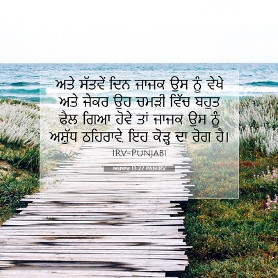 Picture 07 - ਅਹਬਾਰ 13:27 PANIRV - ਅਤੇ ਸੱਤਵੇਂ ਦਿਨ - Bible Verse Picture