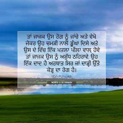 Picture 07 - ਅਹਬਾਰ 13:30 PANIRV - ਤਾਂ ਜਾਜਕ ਉਸ ਰੋਗ ਨੂੰ - Bible Verse Picture