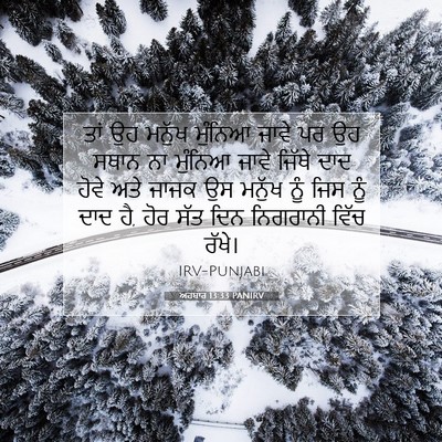 Picture 07 - ਅਹਬਾਰ 13:33 PANIRV - ਤਾਂ ਉਹ ਮਨੁੱਖ - Bible Verse Picture
