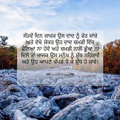 Picture 07 - ਅਹਬਾਰ 13:34 PANIRV - ਸੱਤਵੇਂ ਦਿਨ ਜਾਜਕ ਉਸ - Bible Verse Picture