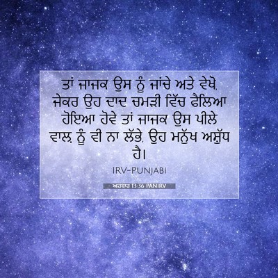 Picture 07 - ਅਹਬਾਰ 13:36 PANIRV - ਤਾਂ ਜਾਜਕ ਉਸ ਨੂੰ - Bible Verse Picture