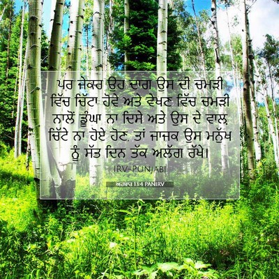 Picture 07 - ਅਹਬਾਰ 13:4 PANIRV - ਪਰ ਜੇਕਰ ਉਹ ਦਾਗ ਉਸ - Bible Verse Picture