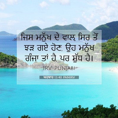 Picture 07 - ਅਹਬਾਰ 13:40 PANIRV - ਜਿਸ ਮਨੁੱਖ ਦੇ ਵਾਲ਼ - Bible Verse Picture