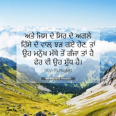Picture 07 - ਅਹਬਾਰ 13:41 PANIRV - ਅਤੇ ਜਿਸ ਦੇ ਸਿਰ ਦੇ - Bible Verse Picture