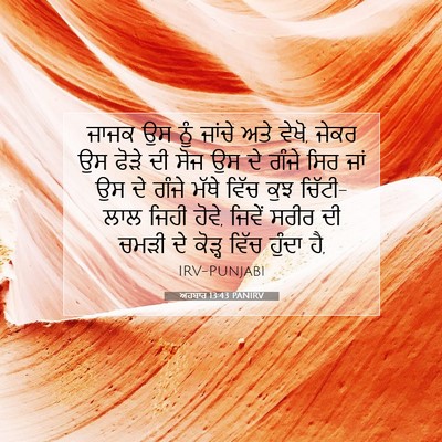 Picture 07 - ਅਹਬਾਰ 13:43 PANIRV - ਜਾਜਕ ਉਸ ਨੂੰ ਜਾਂਚੇ - Bible Verse Picture