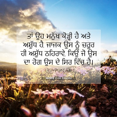 Picture 07 - ਅਹਬਾਰ 13:44 PANIRV - ਤਾਂ ਉਹ ਮਨੁੱਖ - Bible Verse Picture