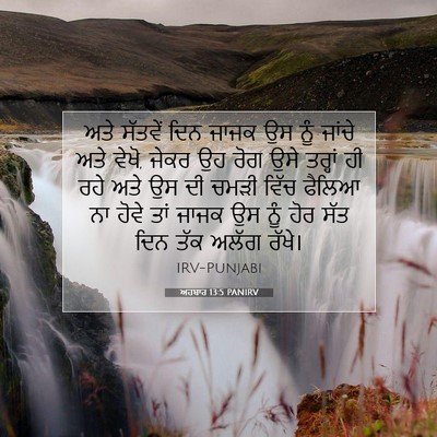 Picture 07 - ਅਹਬਾਰ 13:5 PANIRV - ਅਤੇ ਸੱਤਵੇਂ ਦਿਨ - Bible Verse Picture