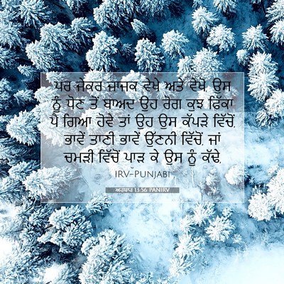 Picture 07 - ਅਹਬਾਰ 13:56 PANIRV - ਪਰ ਜੇਕਰ ਜਾਜਕ ਵੇਖੇ - Bible Verse Picture