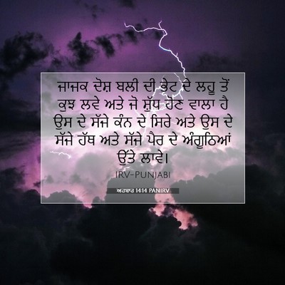Picture 07 - ਅਹਬਾਰ 14:14 PANIRV - ਜਾਜਕ ਦੋਸ਼ ਬਲੀ ਦੀ - Bible Verse Picture