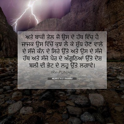 Picture 07 - ਅਹਬਾਰ 14:17 PANIRV - ਅਤੇ ਬਾਕੀ ਤੇਲ ਜੋ ਉਸ - Bible Verse Picture
