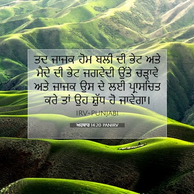 Picture 07 - ਅਹਬਾਰ 14:20 PANIRV - ਤਦ ਜਾਜਕ ਹੋਮ ਬਲੀ ਦੀ - Bible Verse Picture