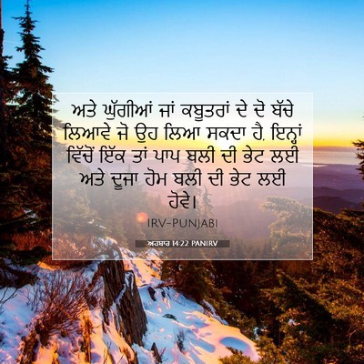 Picture 07 - ਅਹਬਾਰ 14:22 PANIRV - ਅਤੇ ਘੁੱਗੀਆਂ ਜਾਂ - Bible Verse Picture