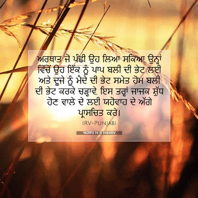 Picture 07 - ਅਹਬਾਰ 14:31 PANIRV - ਅਰਥਾਤ ਜੋ ਪੰਛੀ ਉਹ - Bible Verse Picture