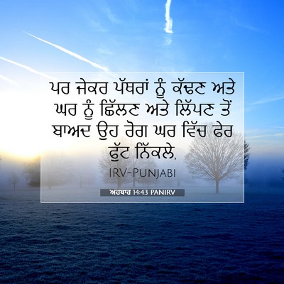 Picture 07 - ਅਹਬਾਰ 14:43 PANIRV - ਪਰ ਜੇਕਰ ਪੱਥਰਾਂ ਨੂੰ - Bible Verse Picture