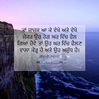 Picture 07 - ਅਹਬਾਰ 14:44 PANIRV - ਤਾਂ ਜਾਜਕ ਆ ਕੇ ਵੇਖੇ - Bible Verse Picture