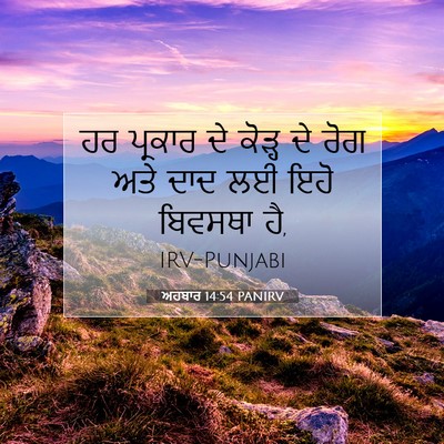 Picture 07 - ਅਹਬਾਰ 14:54 PANIRV - ਹਰ ਪ੍ਰਕਾਰ ਦੇ ਕੋੜ੍ਹ - Bible Verse Picture