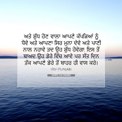 Picture 07 - ਅਹਬਾਰ 14:8 PANIRV - ਅਤੇ ਸ਼ੁੱਧ ਹੋਣ ਵਾਲਾ - Bible Verse Picture