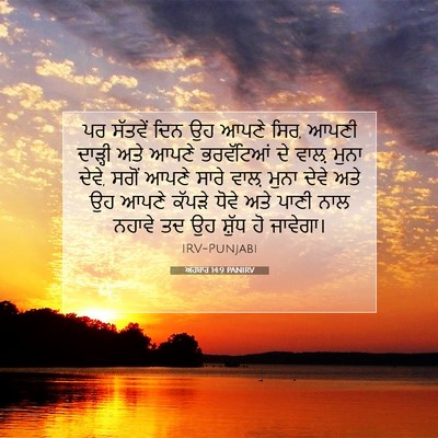 Picture 07 - ਅਹਬਾਰ 14:9 PANIRV - ਪਰ ਸੱਤਵੇਂ ਦਿਨ ਉਹ - Bible Verse Picture
