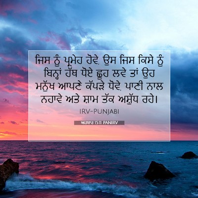 Picture 07 - ਅਹਬਾਰ 15:11 PANIRV - ਜਿਸ ਨੂੰ ਪ੍ਰਮੇਹ - Bible Verse Picture