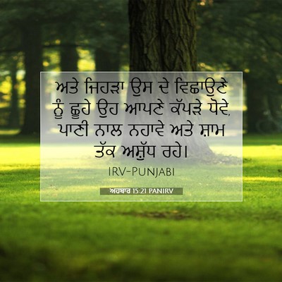 Picture 07 - ਅਹਬਾਰ 15:21 PANIRV - ਅਤੇ ਜਿਹੜਾ ਉਸ ਦੇ - Bible Verse Picture