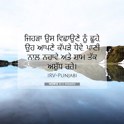 Picture 07 - ਅਹਬਾਰ 15:5 PANIRV - ਜਿਹੜਾ ਉਸ ਵਿਛਾਉਣੇ - Bible Verse Picture