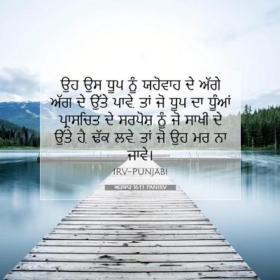Picture 07 - ਅਹਬਾਰ 16:13 PANIRV - ਉਹ ਉਸ ਧੂਪ ਨੂੰ - Bible Verse Picture