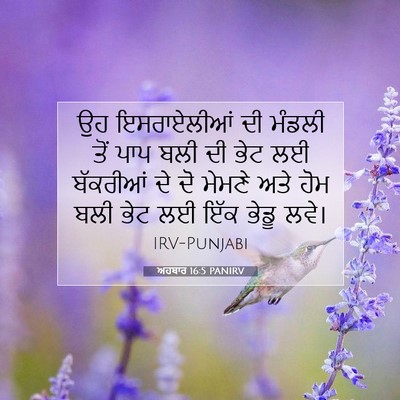 Picture 07 - ਅਹਬਾਰ 16:5 PANIRV - ਉਹ ਇਸਰਾਏਲੀਆਂ ਦੀ - Bible Verse Picture