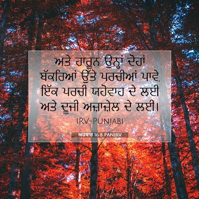 Picture 07 - ਅਹਬਾਰ 16:8 PANIRV - ਅਤੇ ਹਾਰੂਨ ਉਨ੍ਹਾਂ - Bible Verse Picture