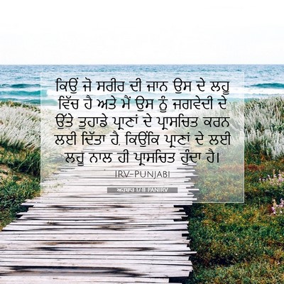 Picture 07 - ਅਹਬਾਰ 17:11 PANIRV - ਕਿਉਂ ਜੋ ਸਰੀਰ ਦੀ ਜਾਨ - Bible Verse Picture