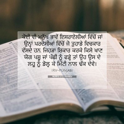 Picture 07 - ਅਹਬਾਰ 17:13 PANIRV - ਕੋਈ ਵੀ ਮਨੁੱਖ ਭਾਵੇਂ - Bible Verse Picture