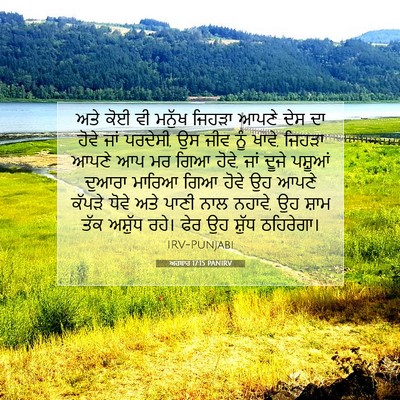 Picture 07 - ਅਹਬਾਰ 17:15 PANIRV - ਅਤੇ ਕੋਈ ਵੀ ਮਨੁੱਖ - Bible Verse Picture
