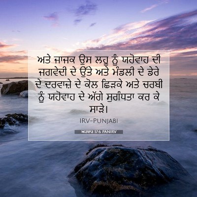 Picture 07 - ਅਹਬਾਰ 17:6 PANIRV - ਅਤੇ ਜਾਜਕ ਉਸ ਲਹੂ ਨੂੰ - Bible Verse Picture
