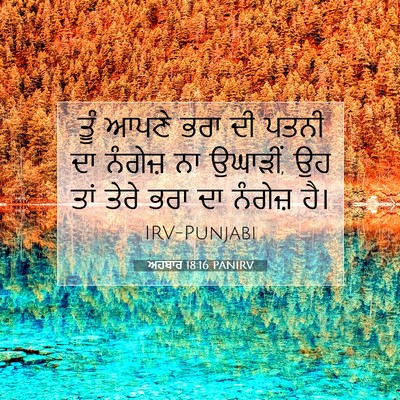 Picture 07 - ਅਹਬਾਰ 18:16 PANIRV - ਤੂੰ ਆਪਣੇ ਭਰਾ ਦੀ - Bible Verse Picture