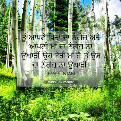 Picture 07 - ਅਹਬਾਰ 18:7 PANIRV - ਤੂੰ ਆਪਣੇ ਪਿਤਾ ਦਾ - Bible Verse Picture