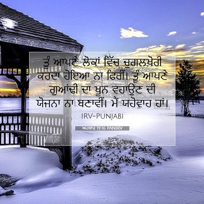 Picture 07 - ਅਹਬਾਰ 19:16 PANIRV - ਤੂੰ ਆਪਣੇ ਲੋਕਾਂ - Bible Verse Picture