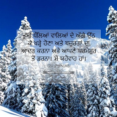 Picture 07 - ਅਹਬਾਰ 19:32 PANIRV - ਤੁਸੀਂ ਧੌਲਿਆਂ - Bible Verse Picture