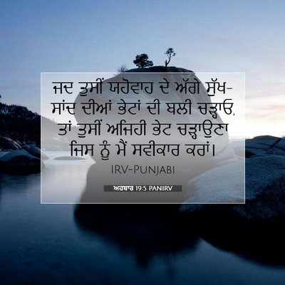 Picture 07 - ਅਹਬਾਰ 19:5 PANIRV - ਜਦ ਤੁਸੀਂ ਯਹੋਵਾਹ ਦੇ - Bible Verse Picture