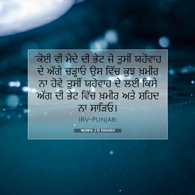 Picture 07 - ਅਹਬਾਰ 2:11 PANIRV - “ਕੋਈ ਵੀ ਮੈਦੇ ਦੀ ਭੇਟ - Bible Verse Picture