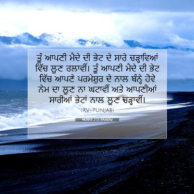 Picture 07 - ਅਹਬਾਰ 2:13 PANIRV - ਤੂੰ ਆਪਣੀ ਮੈਦੇ ਦੀ - Bible Verse Picture