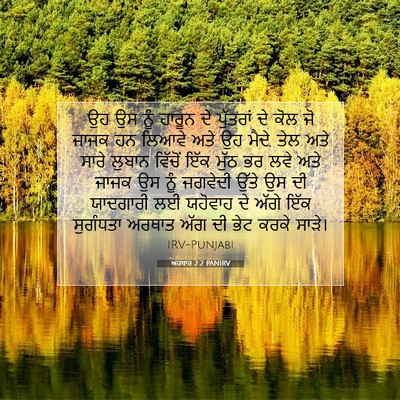 Picture 07 - ਅਹਬਾਰ 2:2 PANIRV - ਉਹ ਉਸ ਨੂੰ ਹਾਰੂਨ ਦੇ - Bible Verse Picture