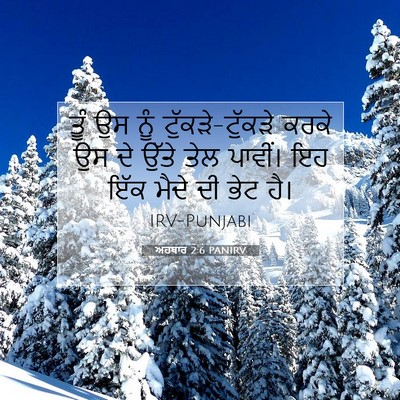 Picture 07 - ਅਹਬਾਰ 2:6 PANIRV - ਤੂੰ ਉਸ ਨੂੰ - Bible Verse Picture